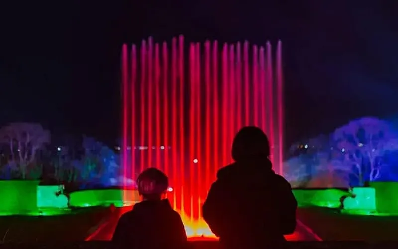 Win £1,167 Treehouse Nightlights Escape at Port Lympne Illuminated