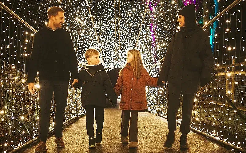 Win 1 of 3 family tickets to Port Lympne Illuminated