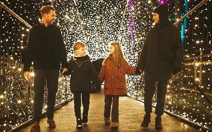 Prize image for Win 1 of 3 family tickets to Port Lympne Illuminated