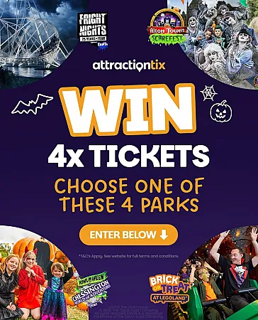Prize image for Win 4 theme park tickets