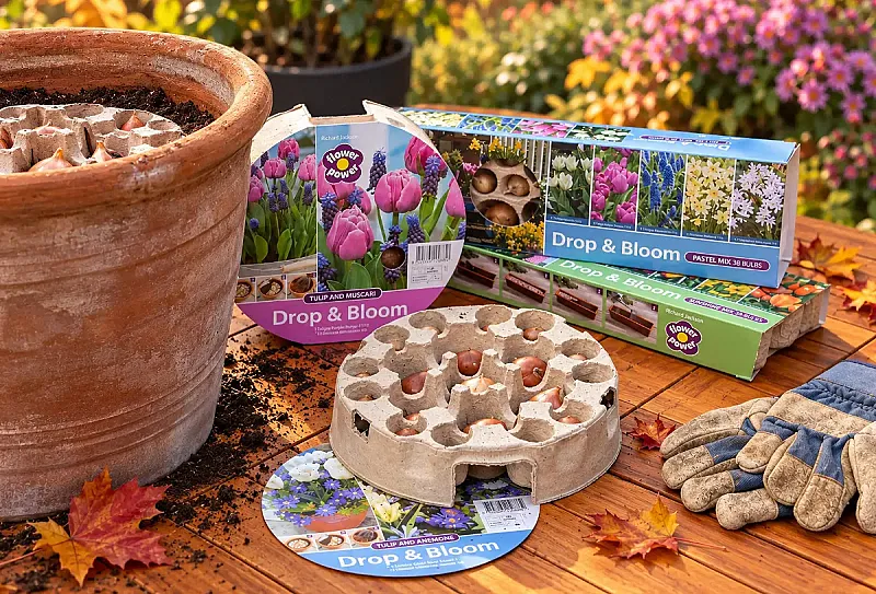 Win 1 of 100 Drop & Bloom Spring Bulb Trays