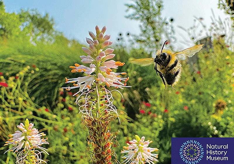 Win The Young Wildlife Photographer Of The Year and £1,500