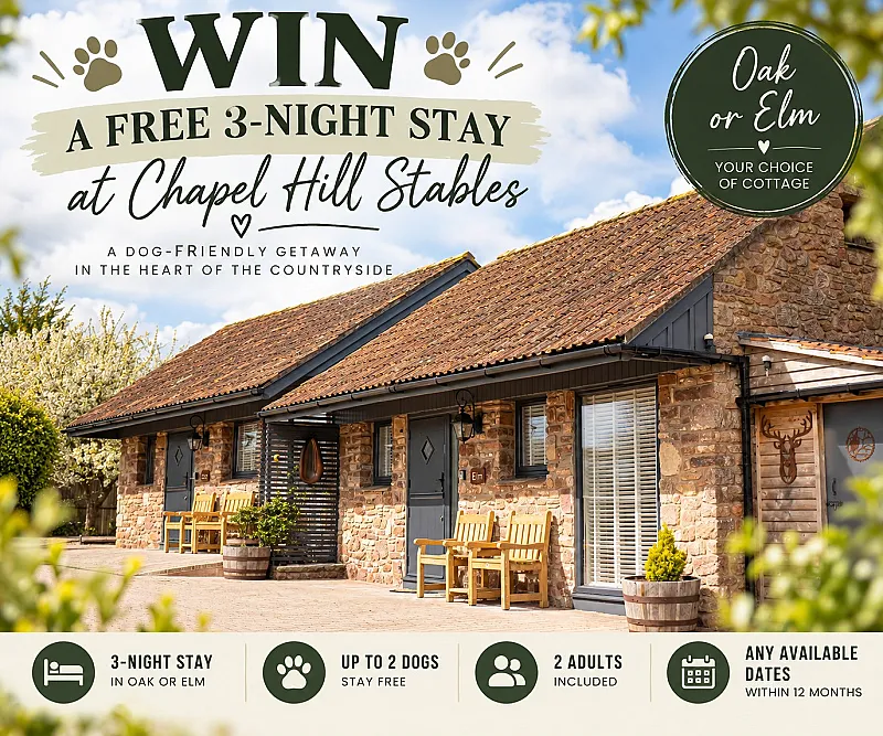 Win A 3 Night Dog Friendly Getaway
