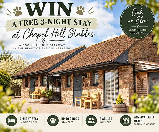 Prize image for Win A 3 Night Dog Friendly Getaway