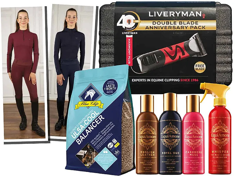 Win with November Horse&Rider