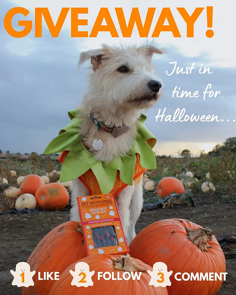 Win a Pet Munchies Treat Bundle with Halloween Chicken & Pumpkin Spooky Sticks