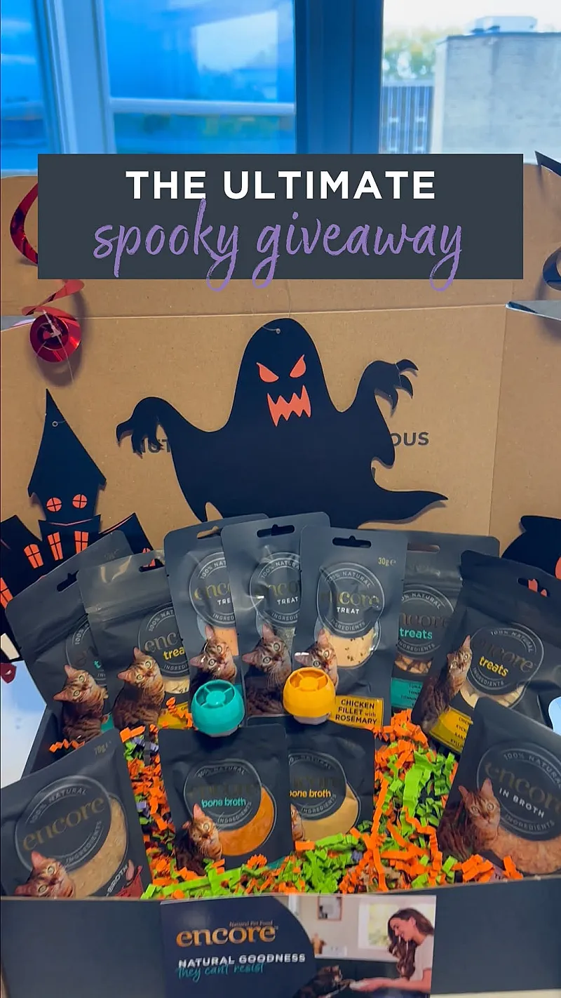 Win an Encore Halloween Bundle for Your Feline Friend