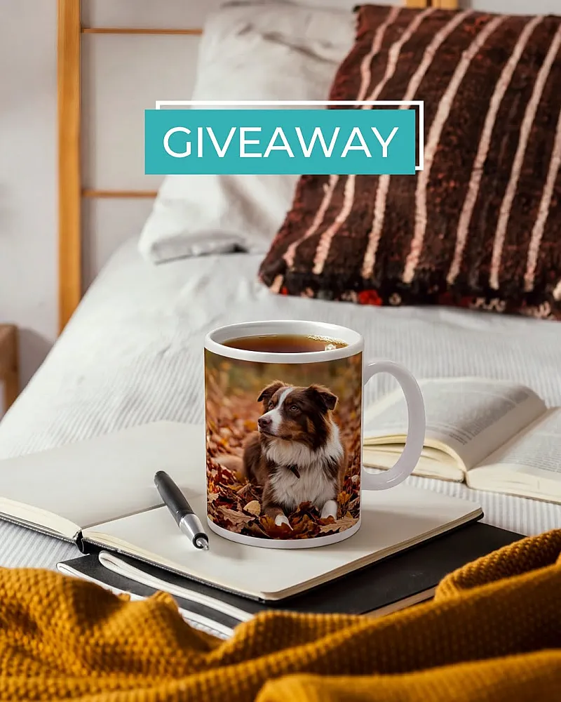 Win a £30 gift card for MYPICTURE.co.uk