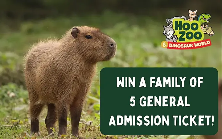 Win a Family Ticket for Hoo Zoo and Dinosaur World