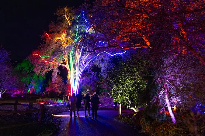 Prize image for Win a family ticket to see Glow at RHS Wisley