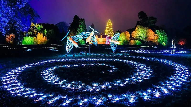 Win a family ticket to Glow Wild at Wakehurst