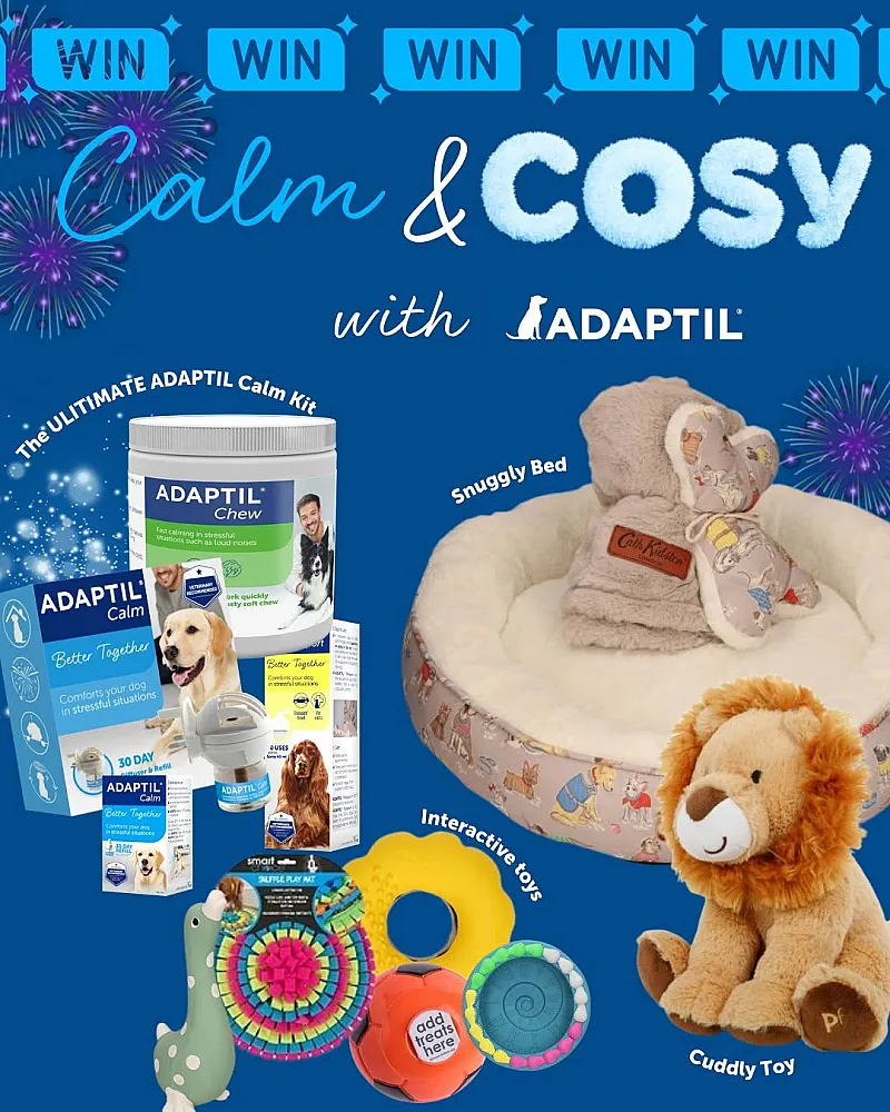 Win an ADAPTIL Calm Kit for Your Dog