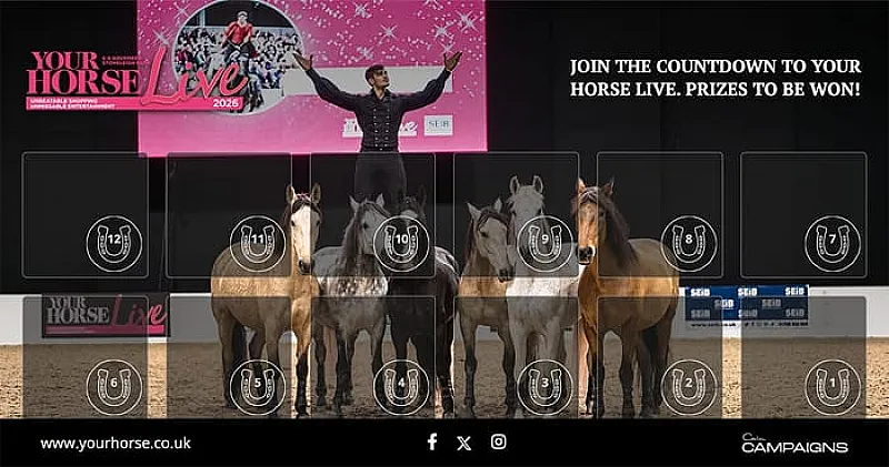 Win Various Horse Related Prizes