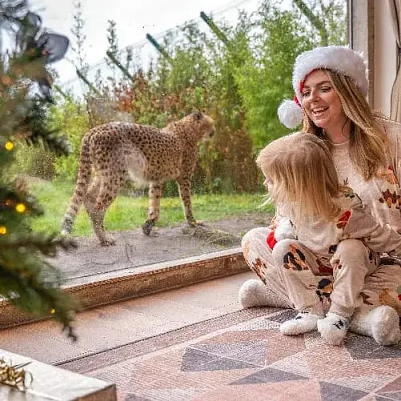 Win Family Christmas Safari Stay with Visit to Santa
