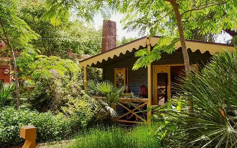 Win Overnight Stay at London Zoo