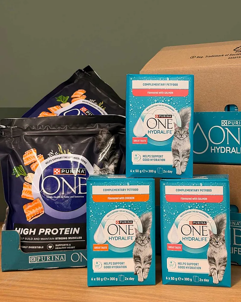Win a fabulous bundle of Purina ONE cat food for your furry friend