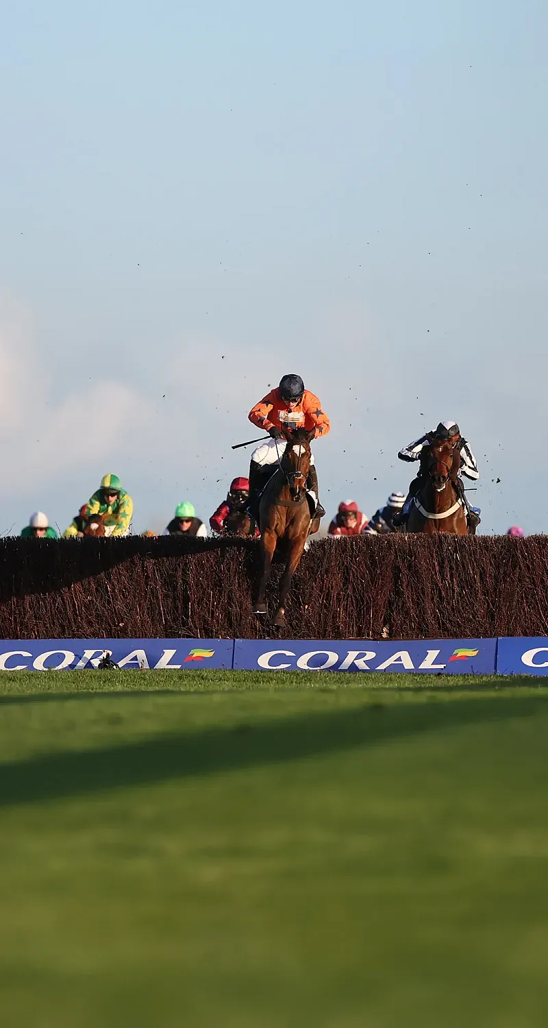 Win hospitality for 2 at The Newbury Gold Cup