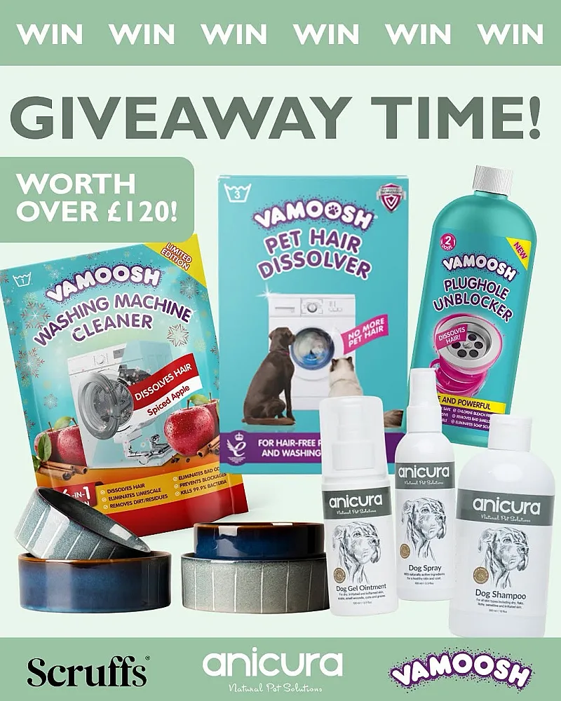 Win Skin Rescue Bundle and Home Care Products