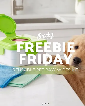 Prize image for Win Reusable Pet Paw Wipes Kit