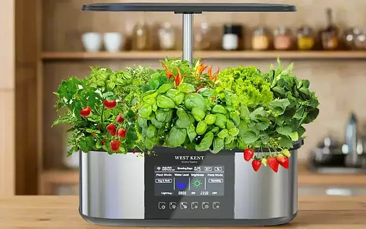 Win a West Kent 21 pod Smart Garden Deluxe