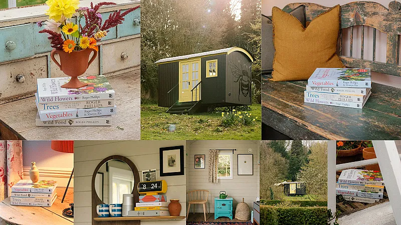 Win the perfect New Year escape!