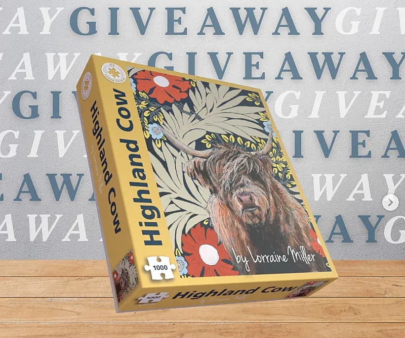 Win a Highland Cow jigsaw puzzle