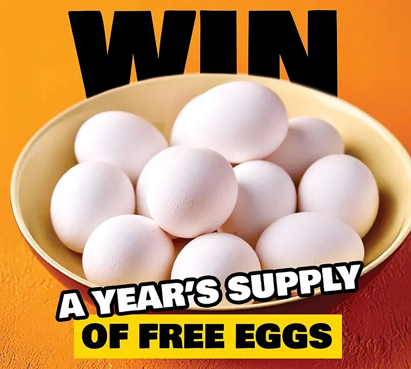 Win a Years worth of FREE Range Eggs