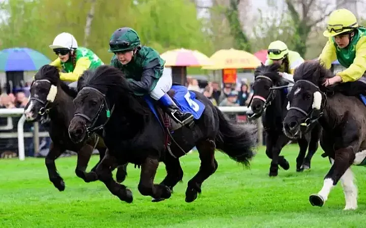 Prize image for Win tickets to a days racing at Fakenham Racecourse