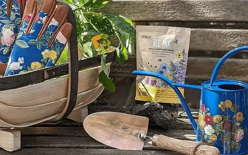 Win 1 of 5 £50 vouchers at Kew Gardens online