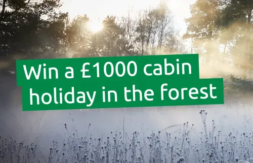 Win a £1000 forest holiday and membership this Christmas