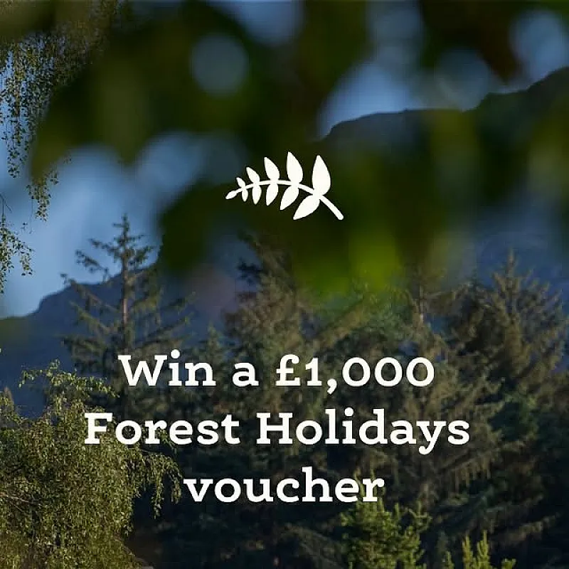 Win a £1,000 Forest Holidays voucher