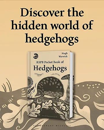 Prize image for Win The RSPB Pocket Book of Hedgehogs