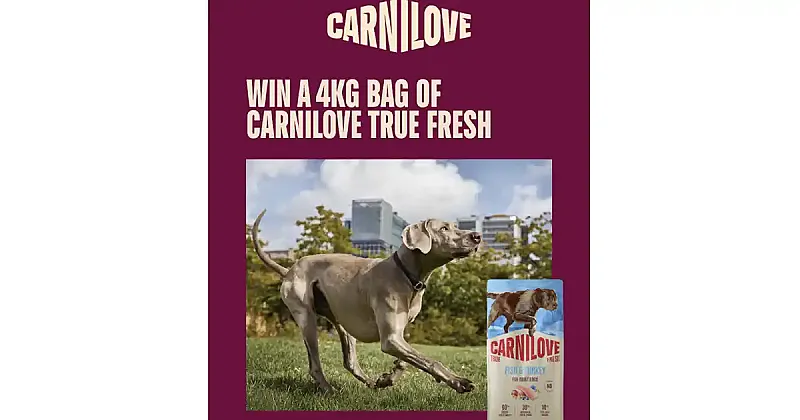 Win 1 of 3 4kg bags of Carnilove True Fresh Fish & Turkey recipe for adult dogs
