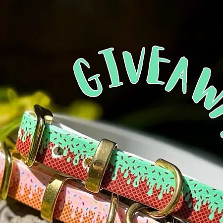 Prize image for Win an IcePop Hearts Tag and Ice Cream Biothane Collar