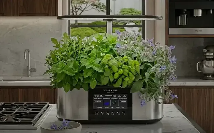 Prize image for Win a West Kent 21 Pod Smart Garden Deluxe