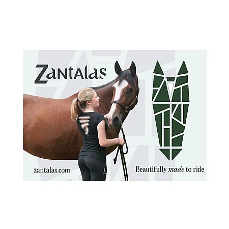 Prize image for Win 3 x £100 Zantalas Vouchers