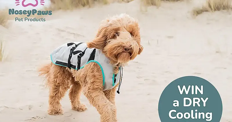 Win a Suitical Dry Cooling Vest