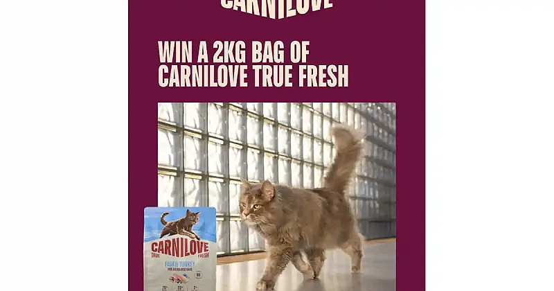 Win A 2kg bag of Carnilove True Fresh Fish & Turkey recipe for adult cats