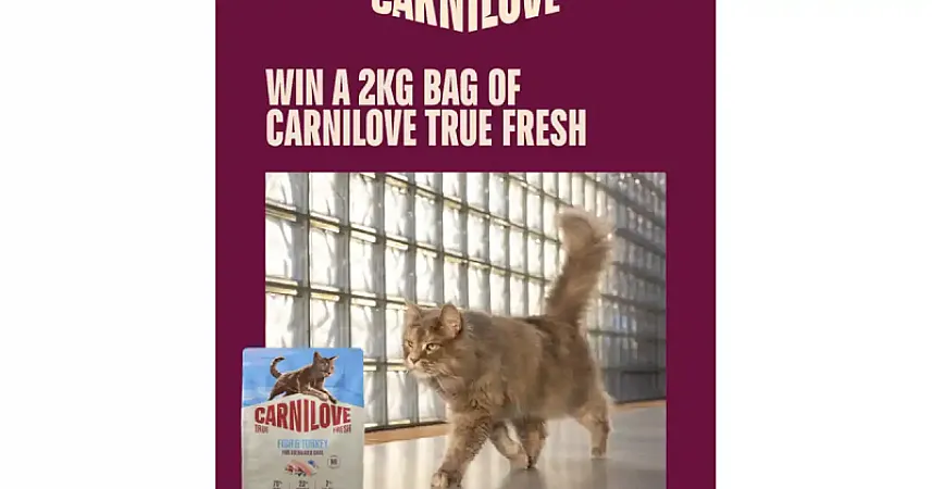 Prize image for Win A 2kg bag of Carnilove True Fresh Fish & Turkey recipe for adult cats