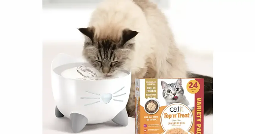 Prize image for Win a Catit PIXI Stainless Steel Drinking Fountain and a variety pack of Catit Top ‘n’ Treat