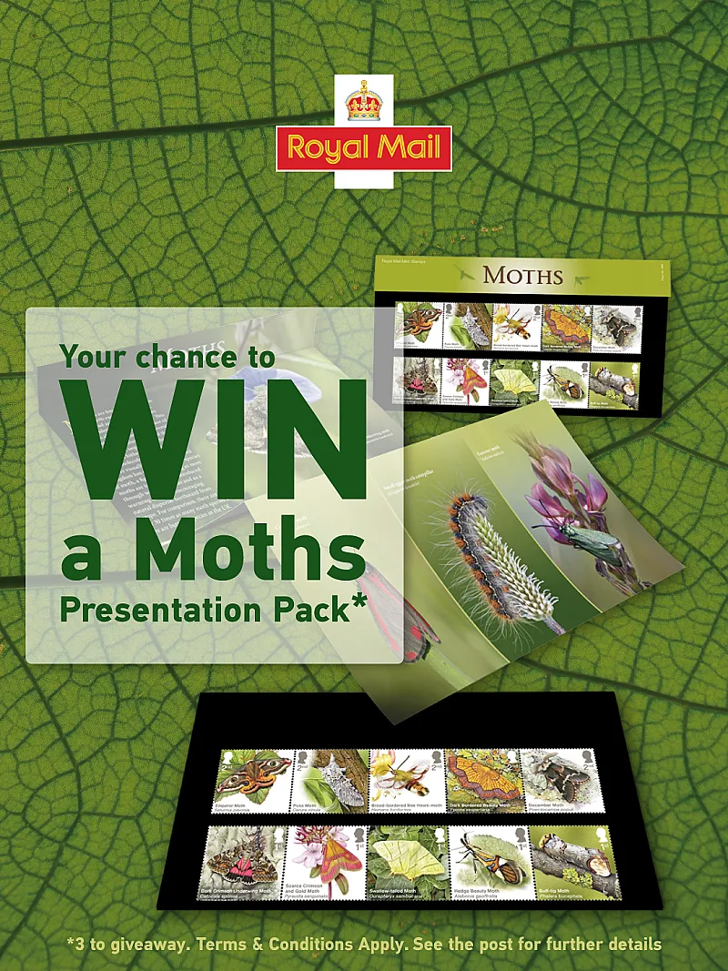 Win a Moths Presentation Pack