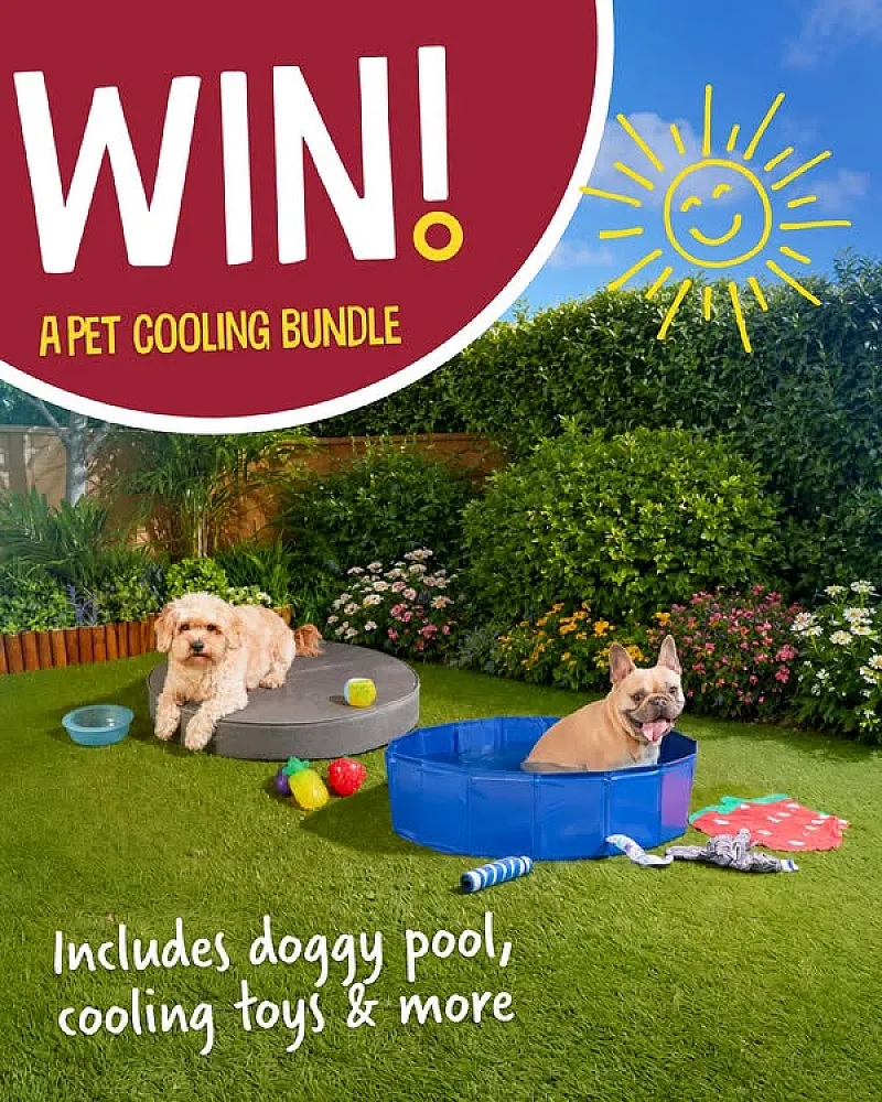 Win a Pet Cooling Bundle!