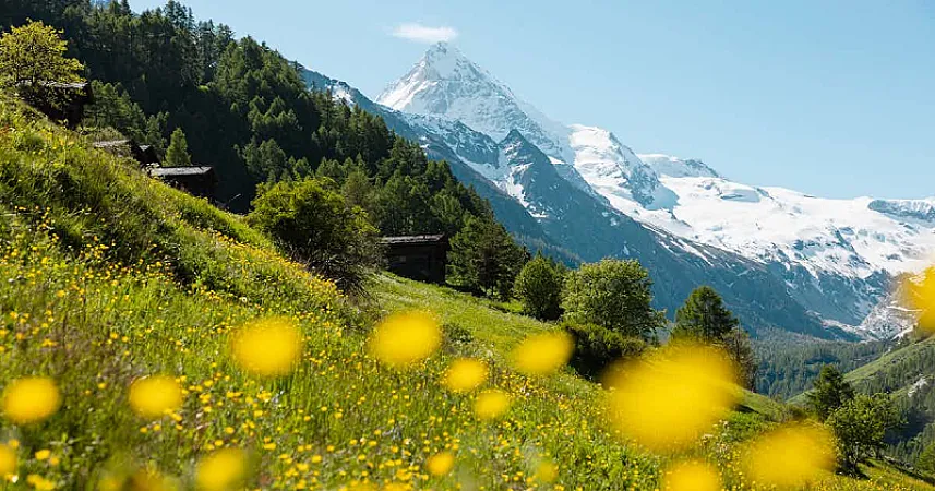Win a Trip to Switzerland