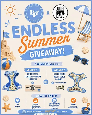 Prize image for Win an Endless Summer 3 Click Adventure Harness plus £50 Dog Bowl Dave Voucher