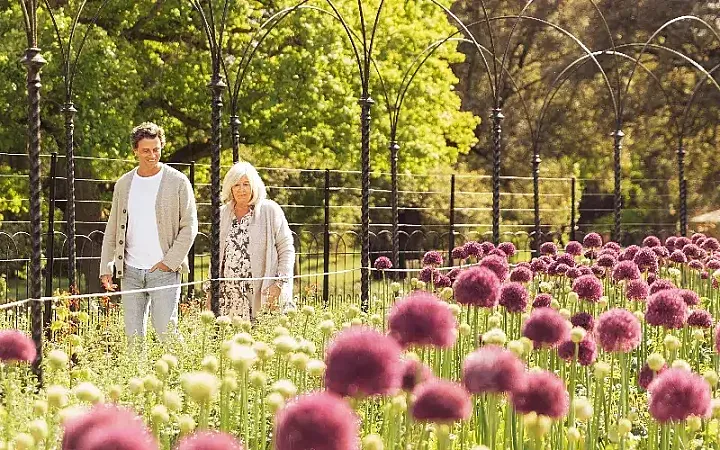 Win a family 'Palace & Play Pass' to Blenheim Palace