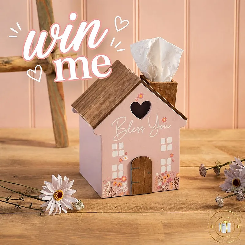 Win a gorgeous 'Tissue House Box'