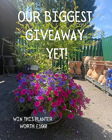 Win a Planter & Tree Worth £100