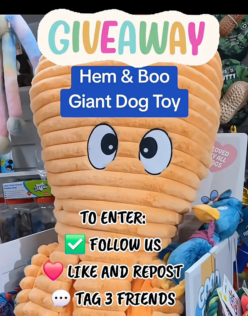 Win a 5ft Giant Orange Octopus