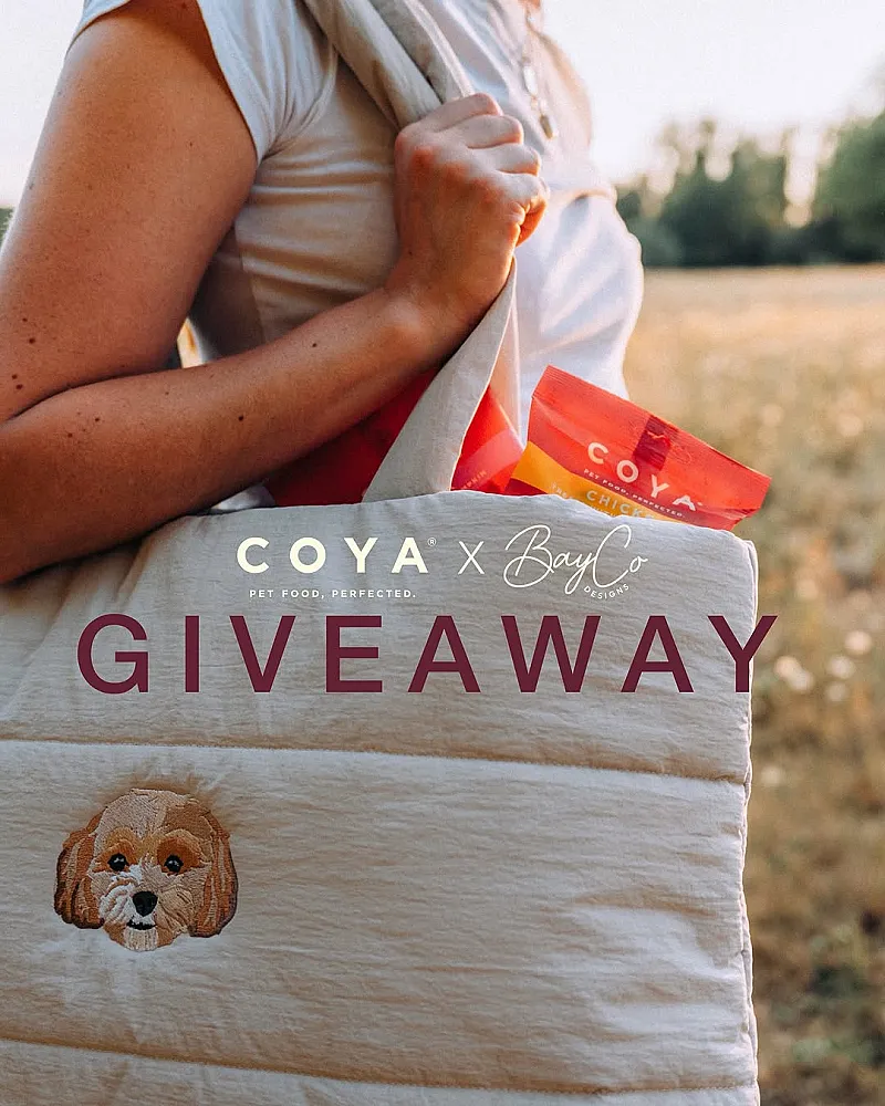 Win a Summer Essentials Bundle for You & Your Dog
