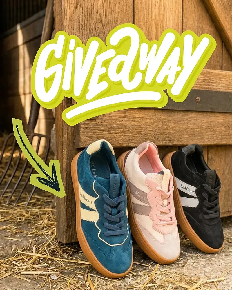 Win a Pair of Lemieux Stockbridge Trainers